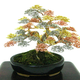 Image for article titled Most Beautiful Items: February 2-February 8, 2013